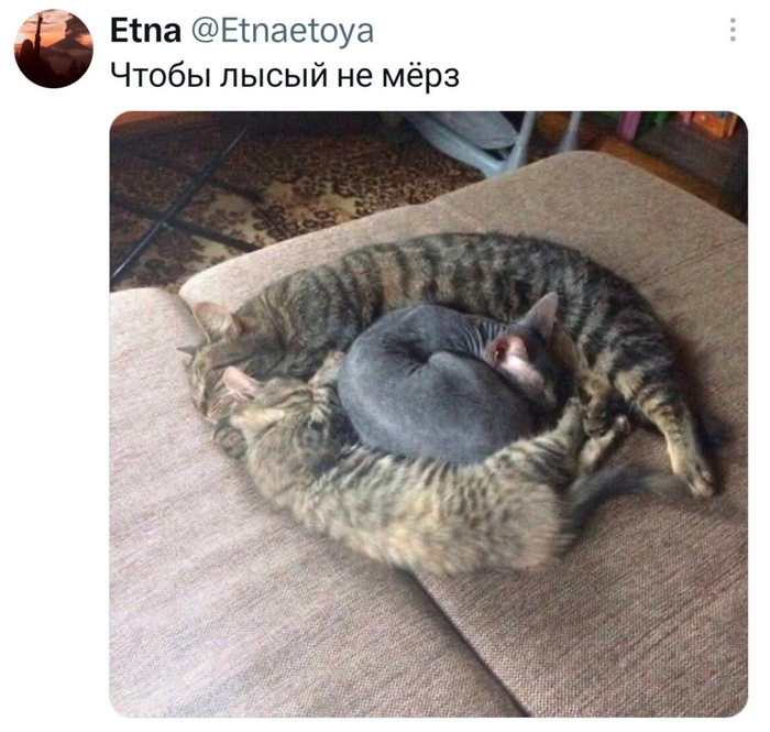 Взаимопомощь
