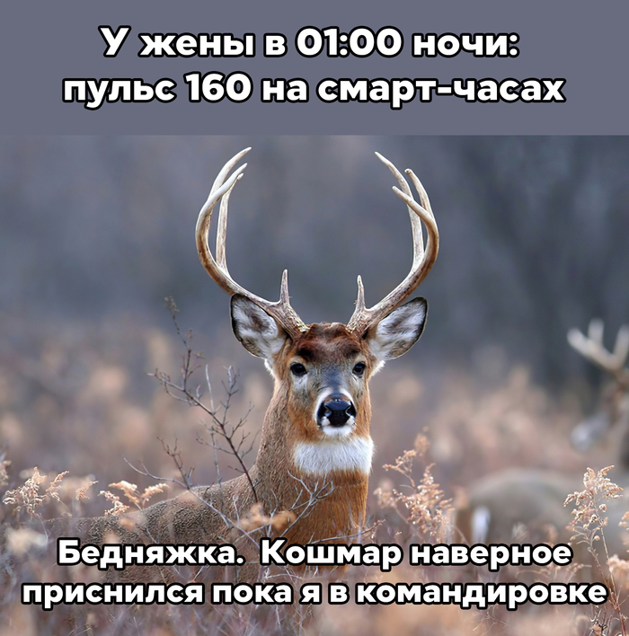 Молодец. Люблю её. Версия 2.0