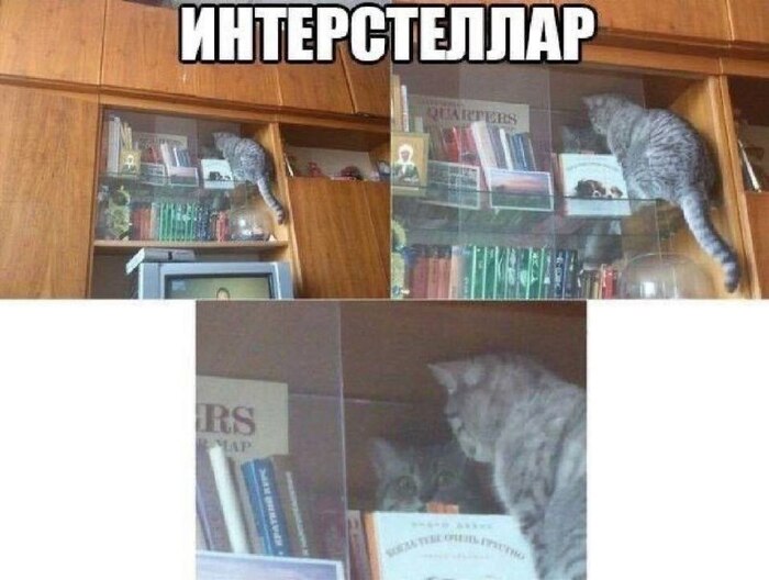 Это прекрасно