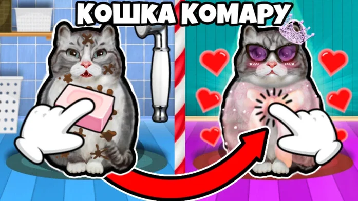 Кошка Комару