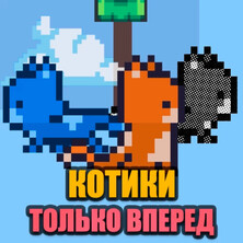 Котики только вперед