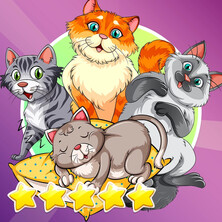 Квиз про котиков