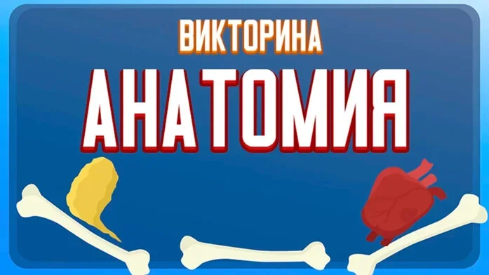 Викторина по Анатомии на Пикабу Игры