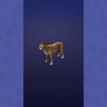 Анатомический кликер. Начни с одной клетки и создай целое животное! Ты увидишь, из чего состоит тело изнутри, поэтапно выращивая органы!