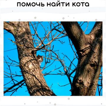 Милая игра с поиском котиков, которые сливаются с окружением