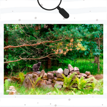 Милая игра с поиском котиков, которые сливаются с окружением