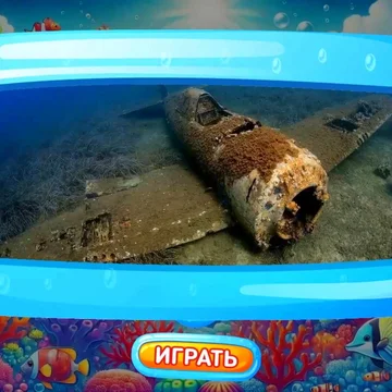 
Пазлы для детей: море и океан - это увлекательная, настольная и бесплатная игра. С очень красивыми картинками морских и океанических глубин, и их обитателями. Позволяет отдохнуть и расслабиться в своё удовольствие.