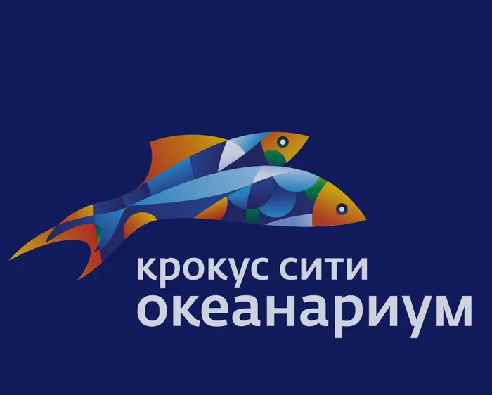 Познавательные занятий для детей от 650 рублей
