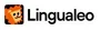 Lingualeo